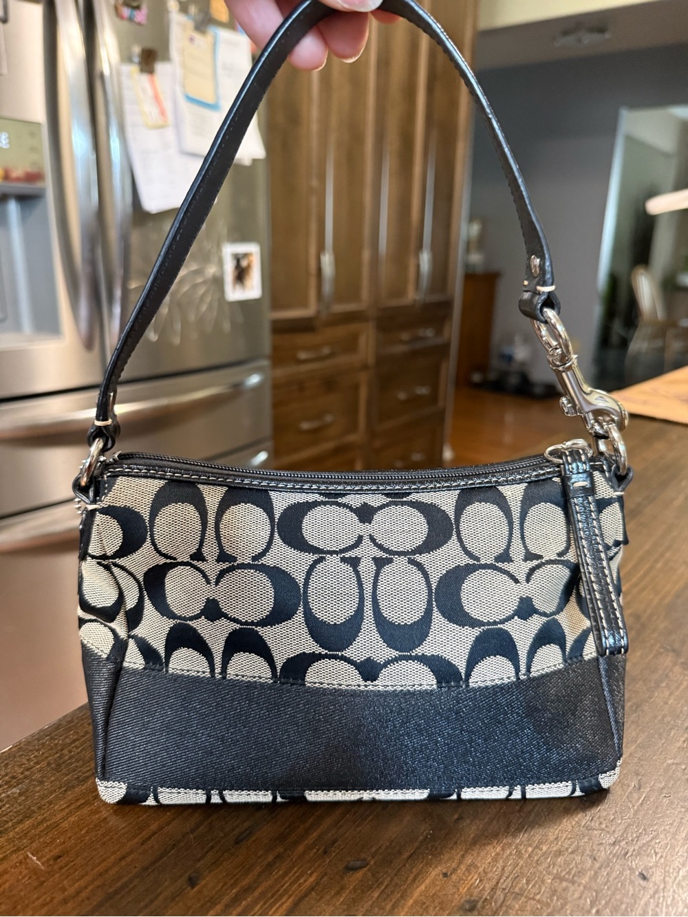 SIGNATURE COACH MINI DEMI